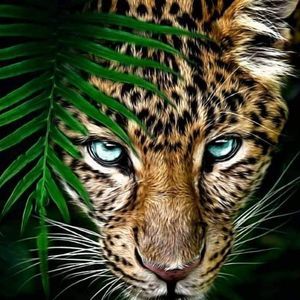 Meet your Posher, Melvin